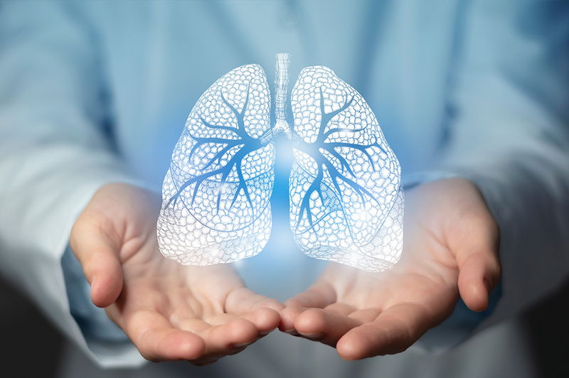 Bild Lungengesundheit Illustration Lunge