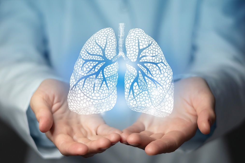 Bild Lungengesundheit Illustration Lunge