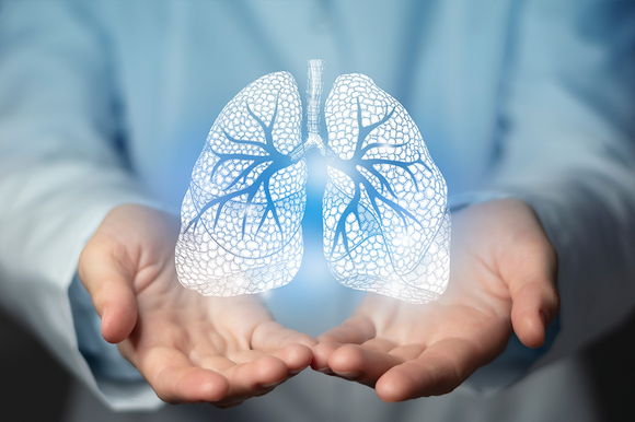 Bild Lungengesundheit Illustration Lunge